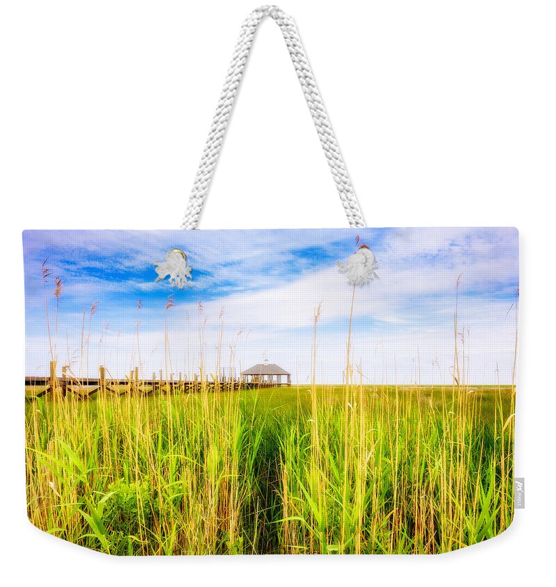 Gulf Of Mexico Weekender Tote Bag featuring the photograph Lost in the Weeds by Raul Rodriguez