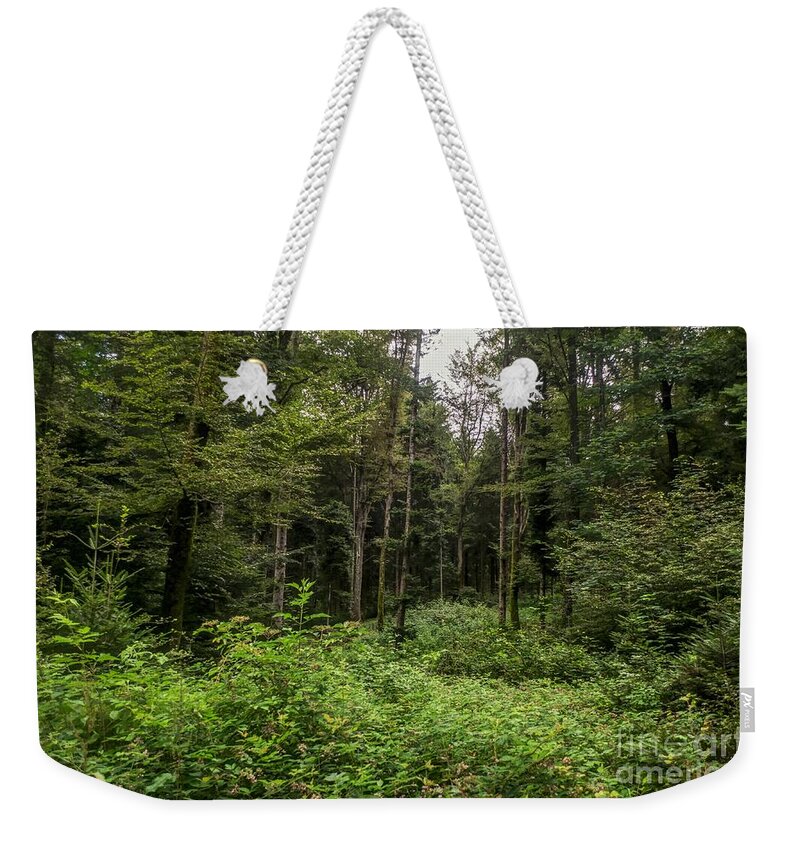 Michelle Meenawong Weekender Tote Bag featuring the photograph Lost My Way by Michelle Meenawong