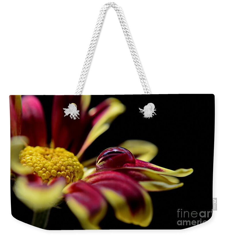 Michelle Meenawong Weekender Tote Bag featuring the photograph Lost On A Petal by Michelle Meenawong