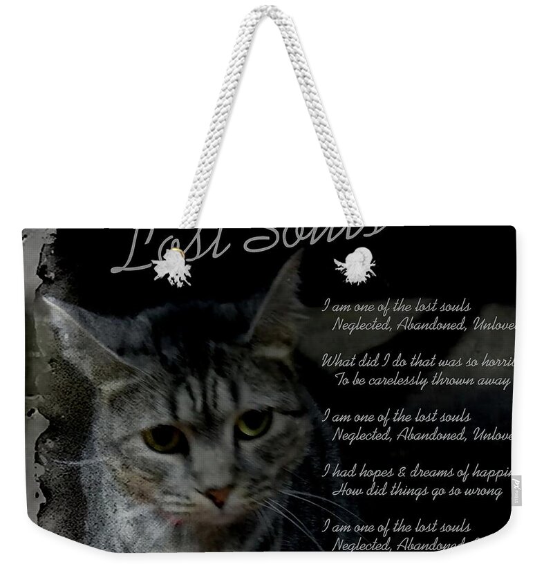 Cat Weekender Tote Bag featuring the photograph Lost Souls by Renee Trenholm