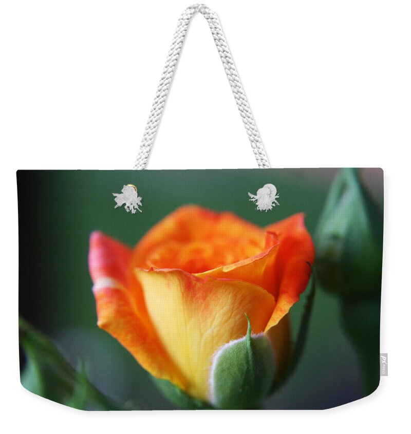 Rose Weekender Tote Bag featuring the photograph Louisiana Orange Rose by Ester McGuire