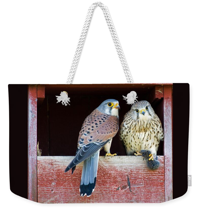 Love Gift Weekender Tote Bag featuring the photograph Love Gift by Torbjorn Swenelius
