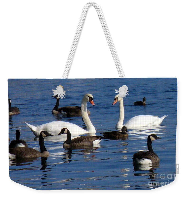 Avian Bird Weekender Tote Bag featuring the photograph Love Is In The Air by Lingfai Leung