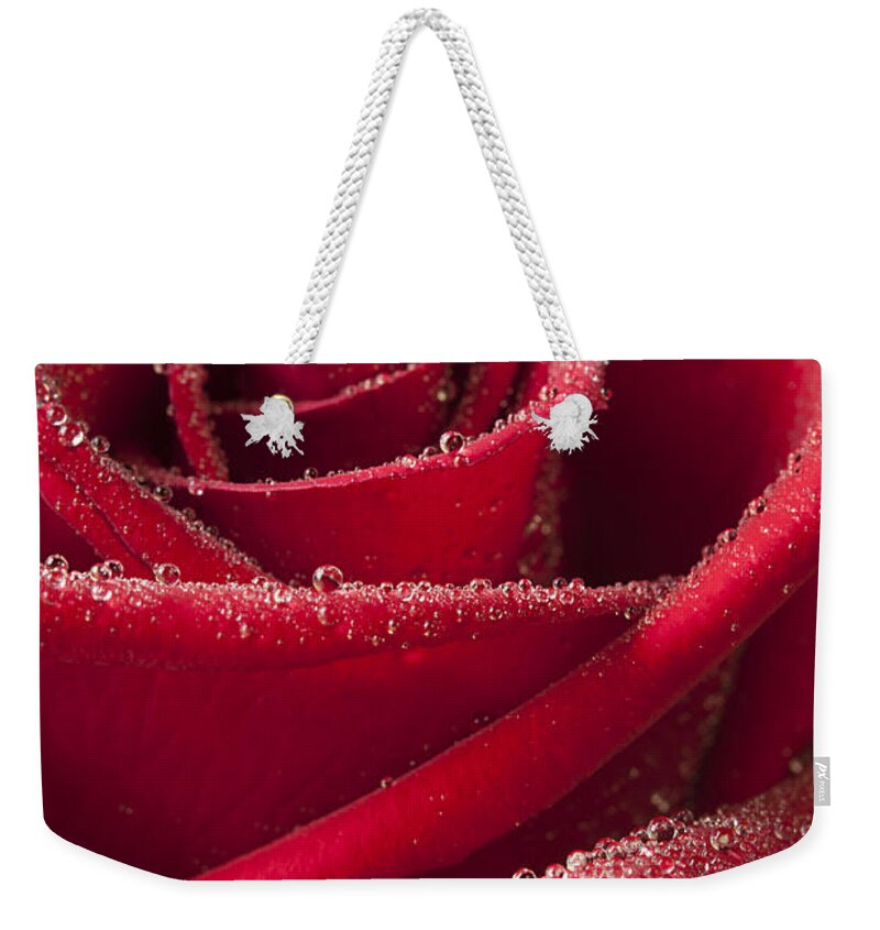 Rose Weekender Tote Bag featuring the photograph Love by Patty Colabuono