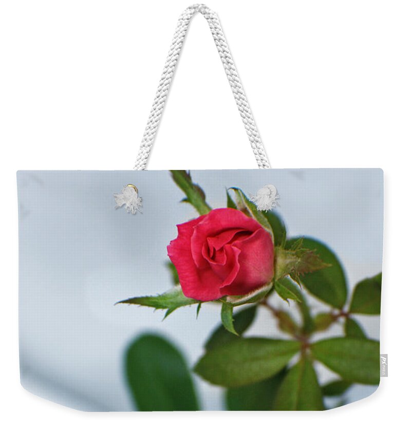 Rose Weekender Tote Bag featuring the photograph Love Whispers Softly by Ella Kaye Dickey