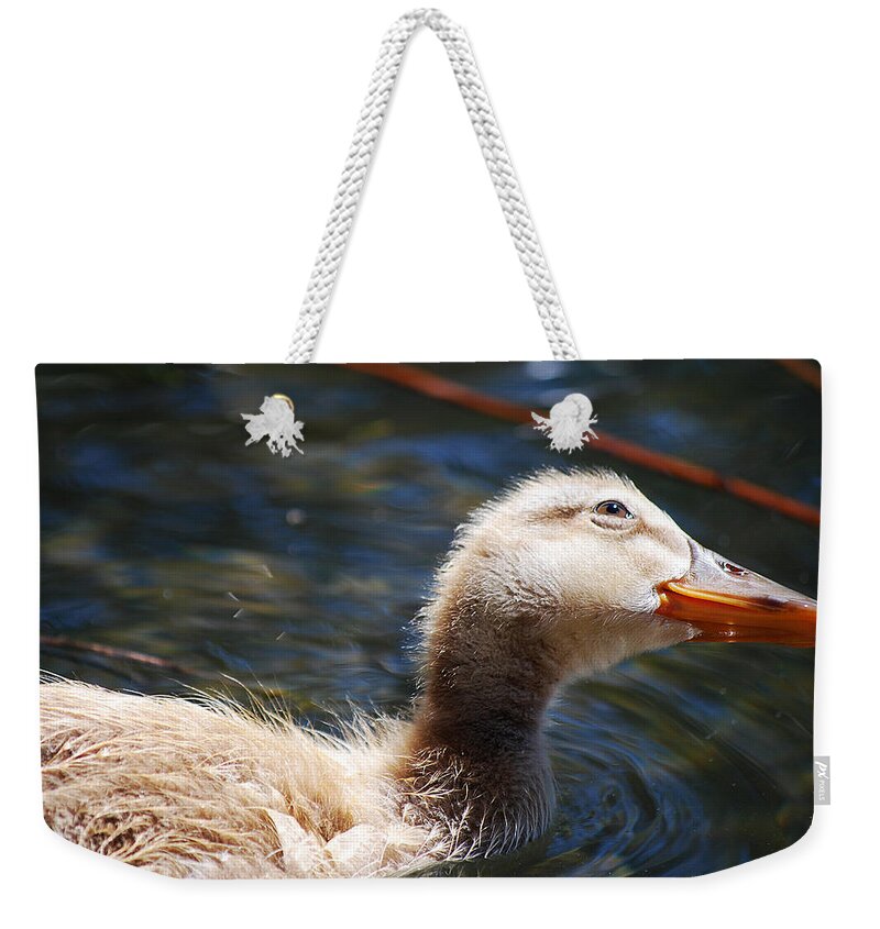 Becky Furgason Weekender Tote Bag featuring the photograph #loveduck by Becky Furgason