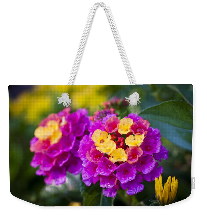 Bokeh Weekender Tote Bag featuring the photograph Lovely Lantana by Christi Kraft