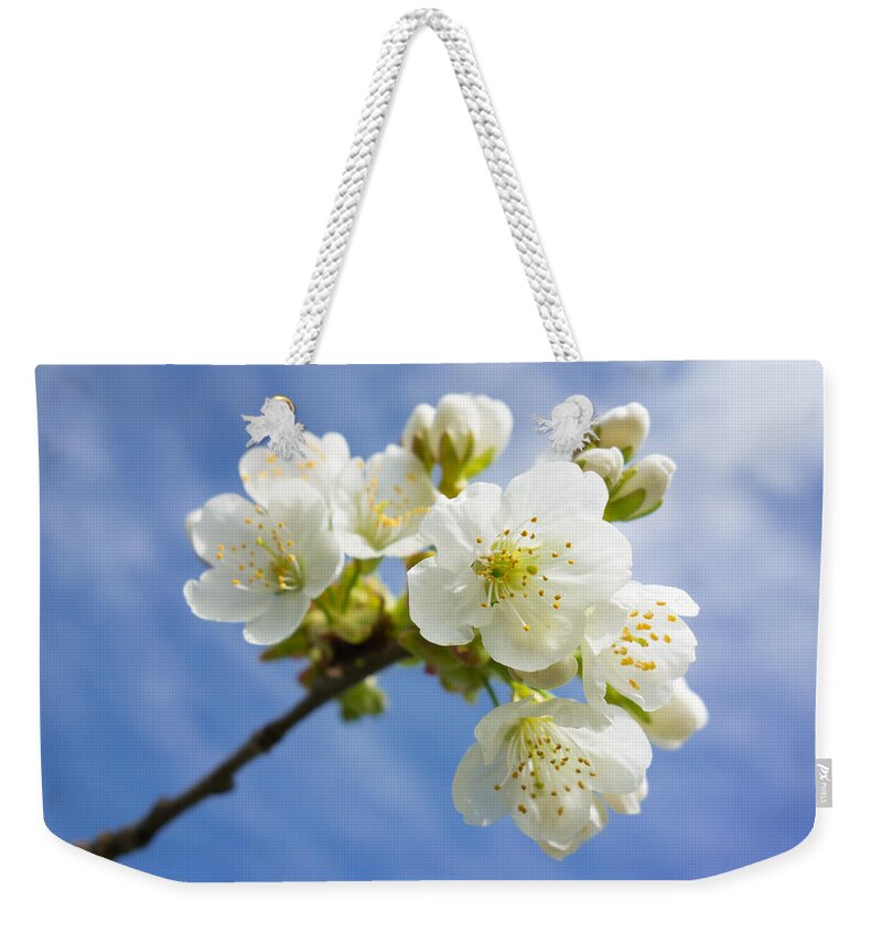 Apple Blossom Weekender Tote Bag featuring the photograph Lovely white apple blossoms on branch by Matthias Hauser