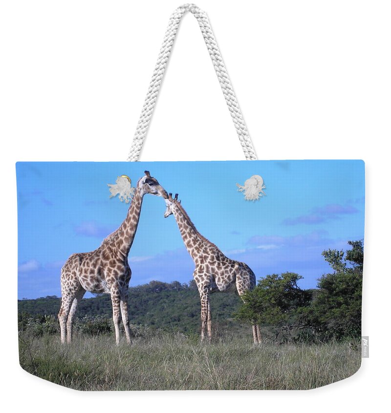 Giraffes Weekender Tote Bag featuring the photograph Lovers on safari by Karen Jane Jones