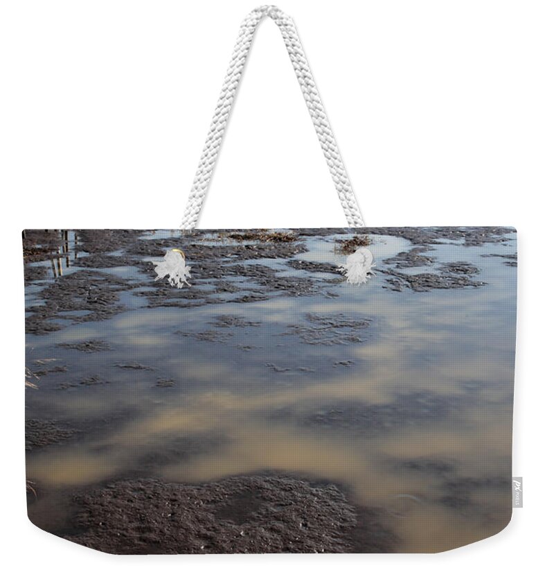 Blackwater Weekender Tote Bag featuring the photograph Low Tide at Blackwater Wildlife Refuge in Maryland by William Kuta