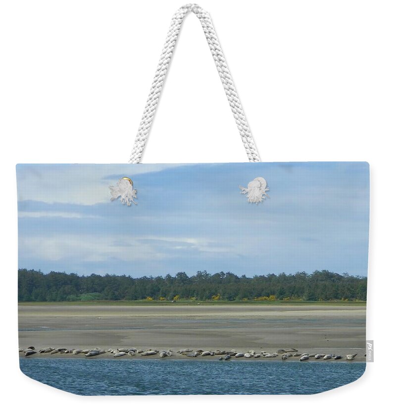 Seals Weekender Tote Bag featuring the photograph Low Tide by Gallery Of Hope 