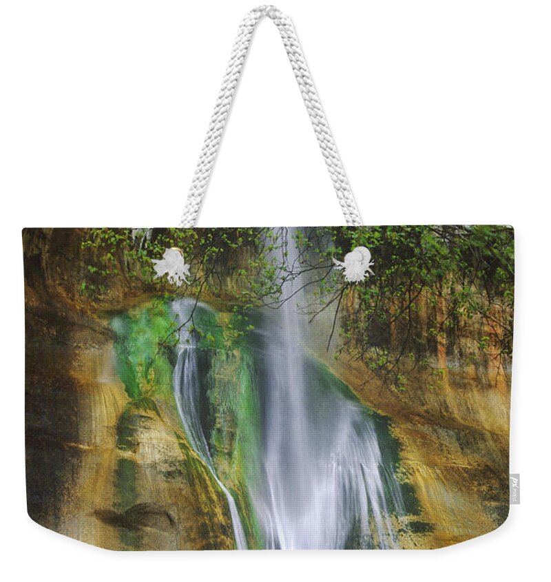 Dave Welling Weekender Tote Bag featuring the photograph Lower Calf Creek Falls Escalante Grand Staircase National Monument Utah by Dave Welling