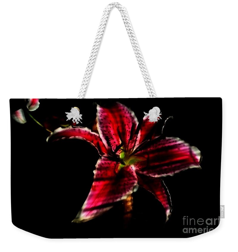 Flowers Weekender Tote Bag featuring the photograph Luminet darkness by Jessica S
