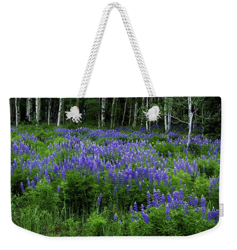 Crested Butte* Flowers Weekender Tote Bag featuring the photograph Lupine in the Aspen by Kristal Kraft