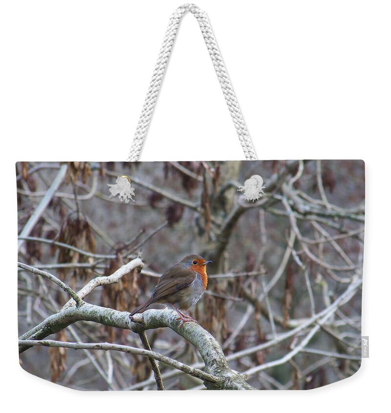 Animal Weekender Tote Bag featuring the photograph Lwv10001 by Lee Winter