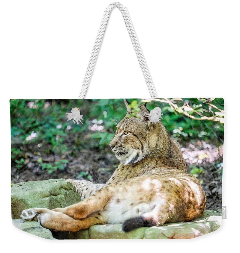 Lynx Weekender Tote Bag featuring the photograph Lynx by Brett Engle