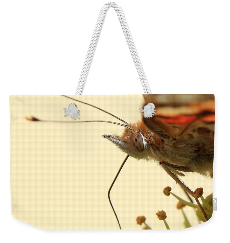 Insect Weekender Tote Bag featuring the photograph Macro Portrait Of Butterfly On Common by Achim Mittler, Frankfurt Am Main
