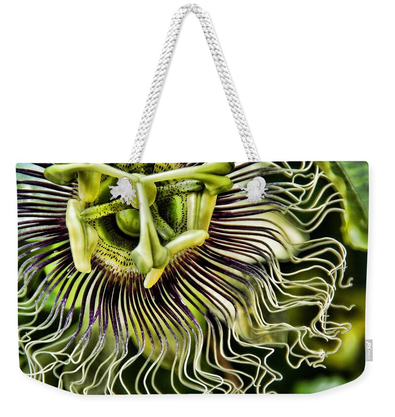 Painterly Weekender Tote Bag featuring the photograph Mad Passion by Peggy Hughes