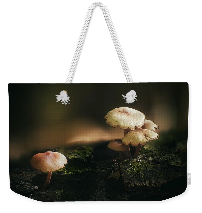 Mushroom Weekender Tote Bag featuring the photograph Magic Mushrooms by Scott Norris