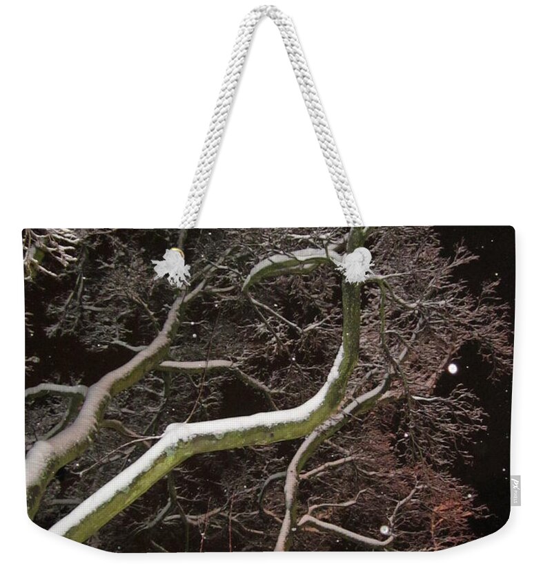 Tree Weekender Tote Bag featuring the photograph Magic tree by Rosita Larsson