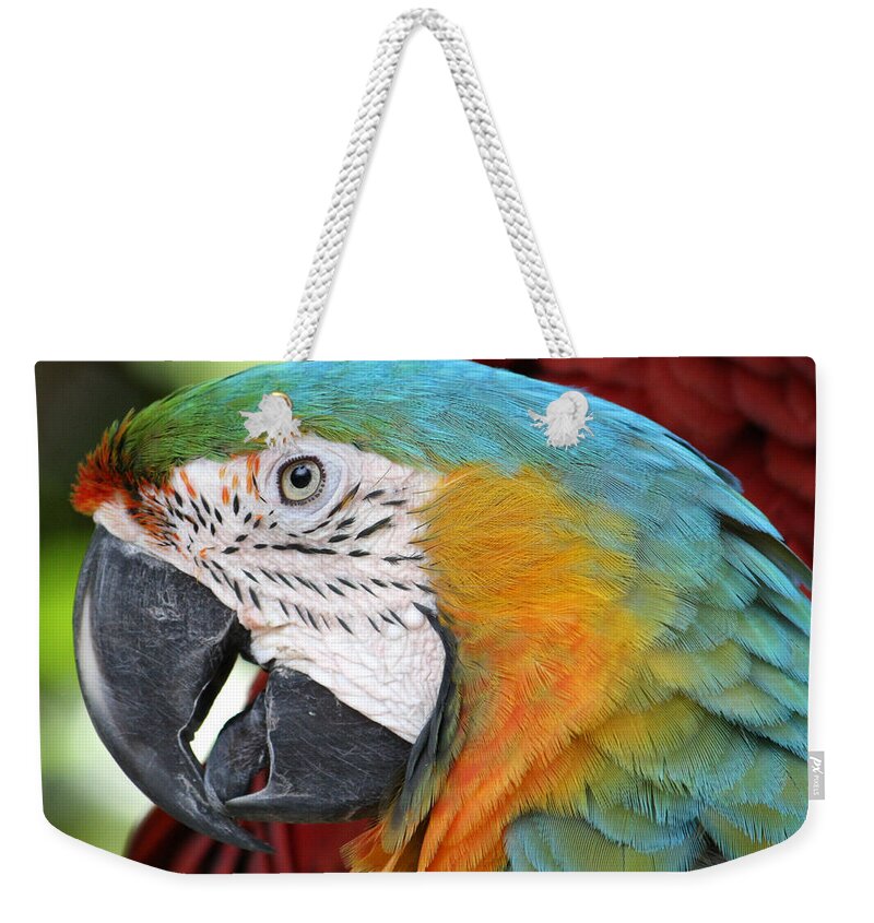 Parrot Weekender Tote Bag featuring the photograph Magnificent Macaw by David Nicholls