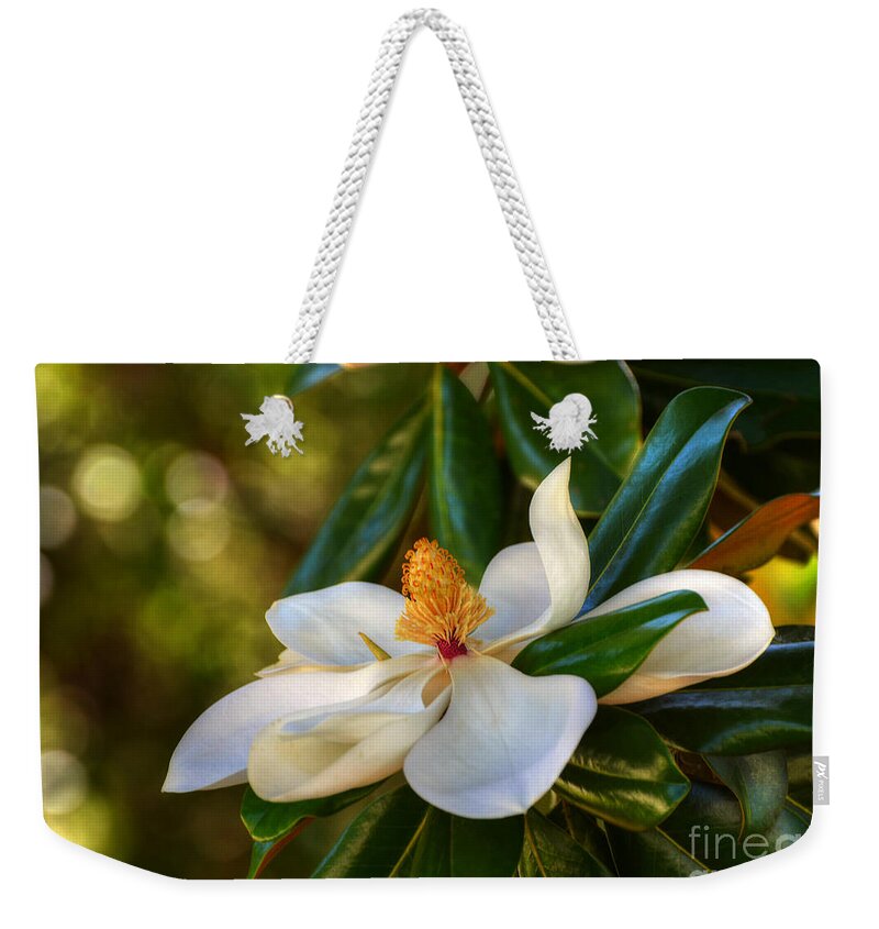 Flower Weekender Tote Bag featuring the photograph Magnolia Blossom by Kathy Baccari