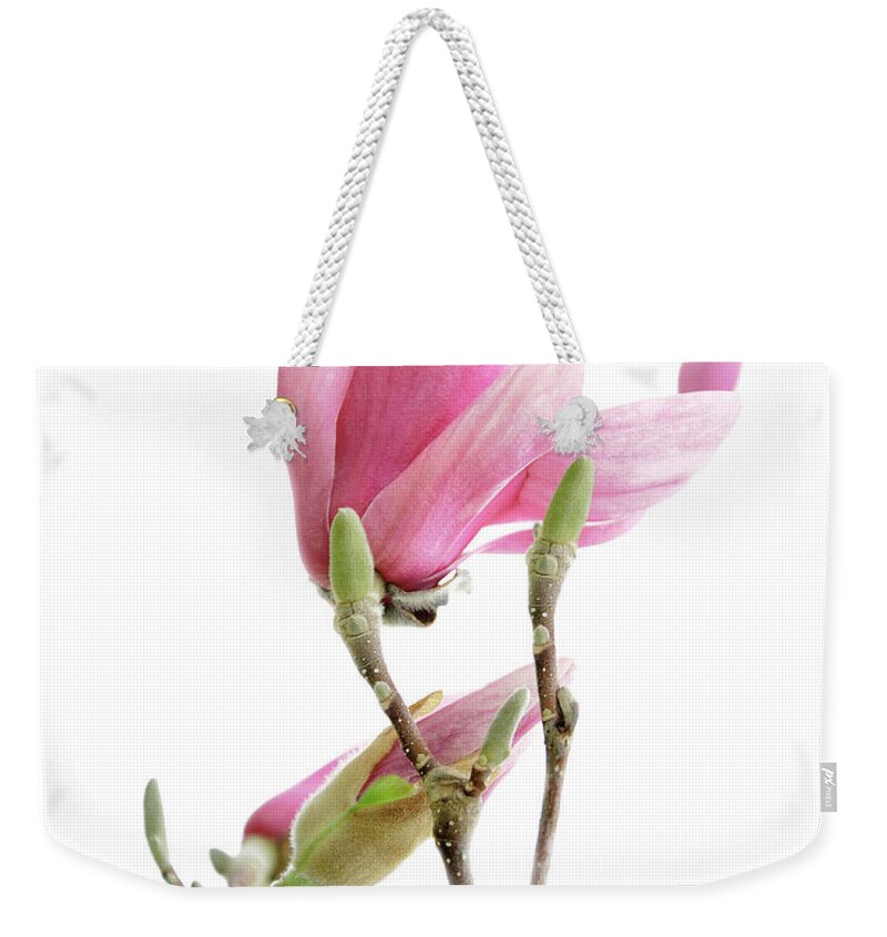Andee Design Magnolia Weekender Tote Bag featuring the photograph Magnolia Blossoms by Andee Design