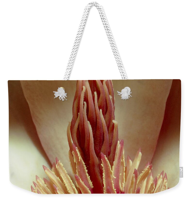 Botany Weekender Tote Bag featuring the photograph Magnolia Flower by Perennou Nuridsany