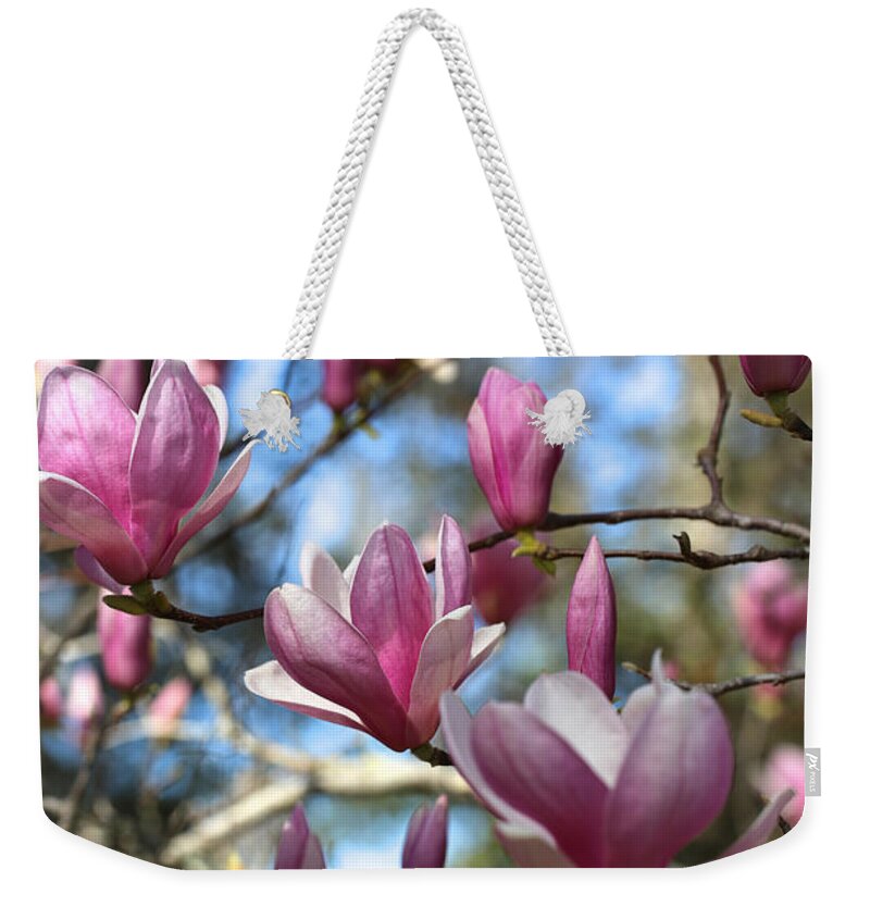 Saucer Magnolia Weekender Tote Bag featuring the photograph Magnolia Perspective by Carol Groenen