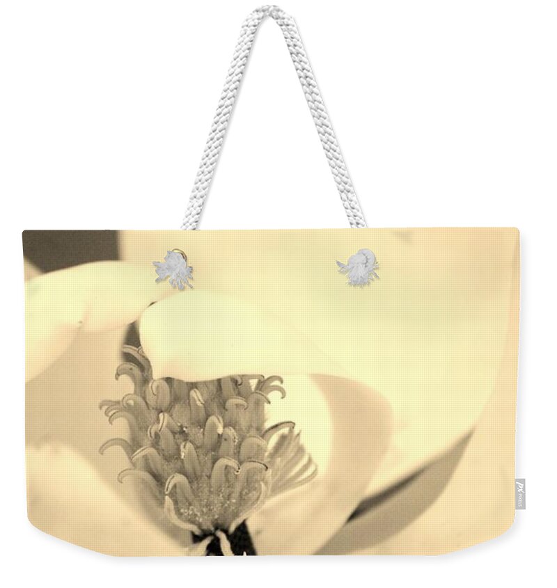 Plant Weekender Tote Bag featuring the photograph Magnolia by Tamara Michael