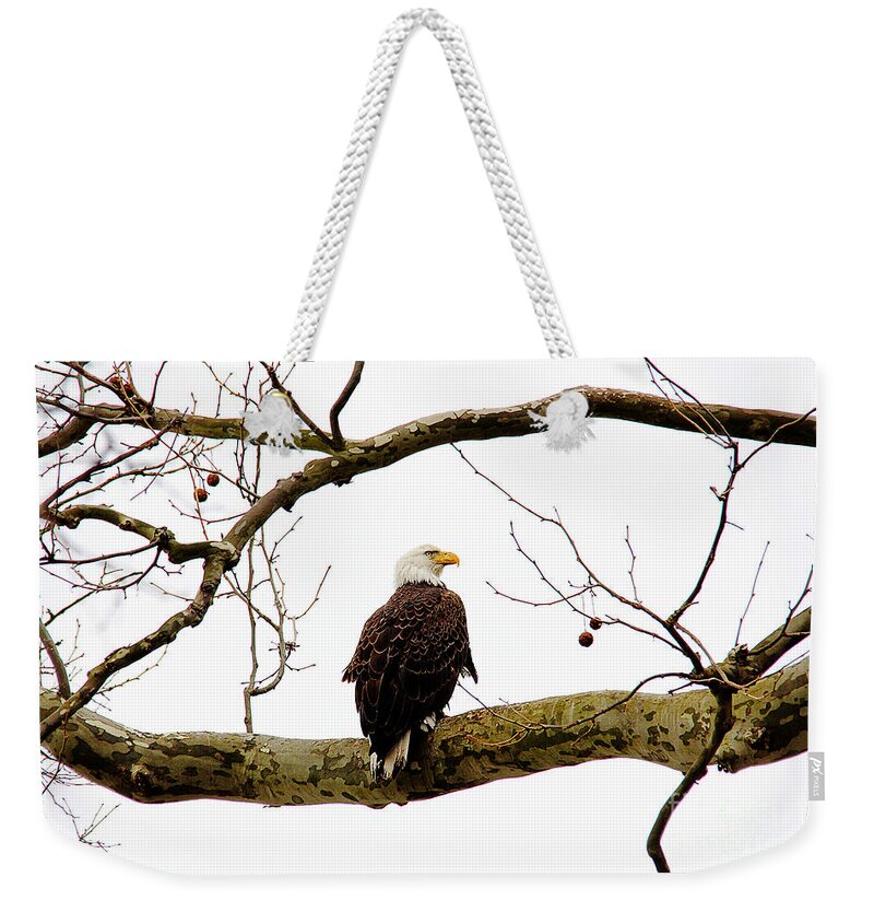 Eagle Weekender Tote Bag featuring the photograph The Majestic by Trina Ansel