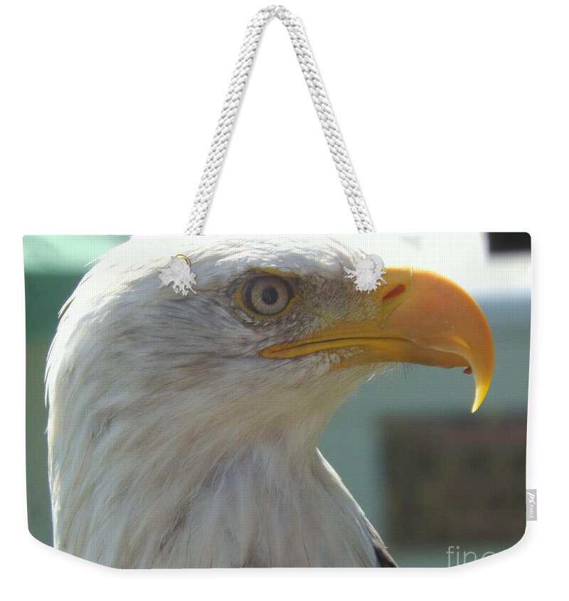 Bald Eagle Weekender Tote Bag featuring the photograph Majestic Icon by Lingfai Leung