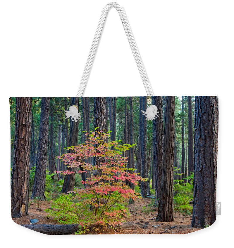 Landscape Weekender Tote Bag featuring the photograph Majestic by Jonathan Nguyen