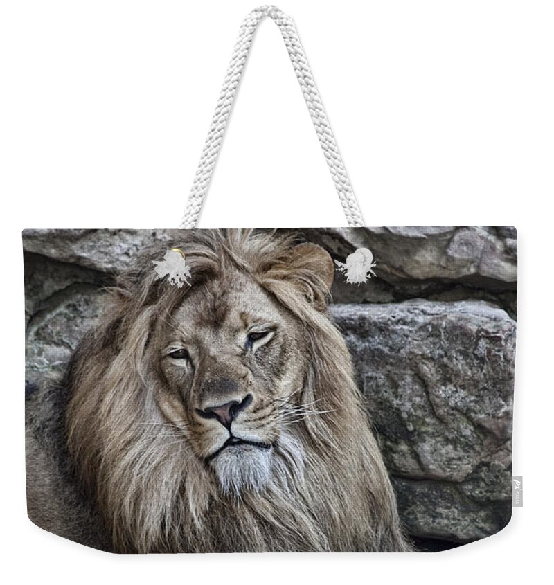 Lion Weekender Tote Bag featuring the photograph Majestic King Lion V2 by Douglas Barnard
