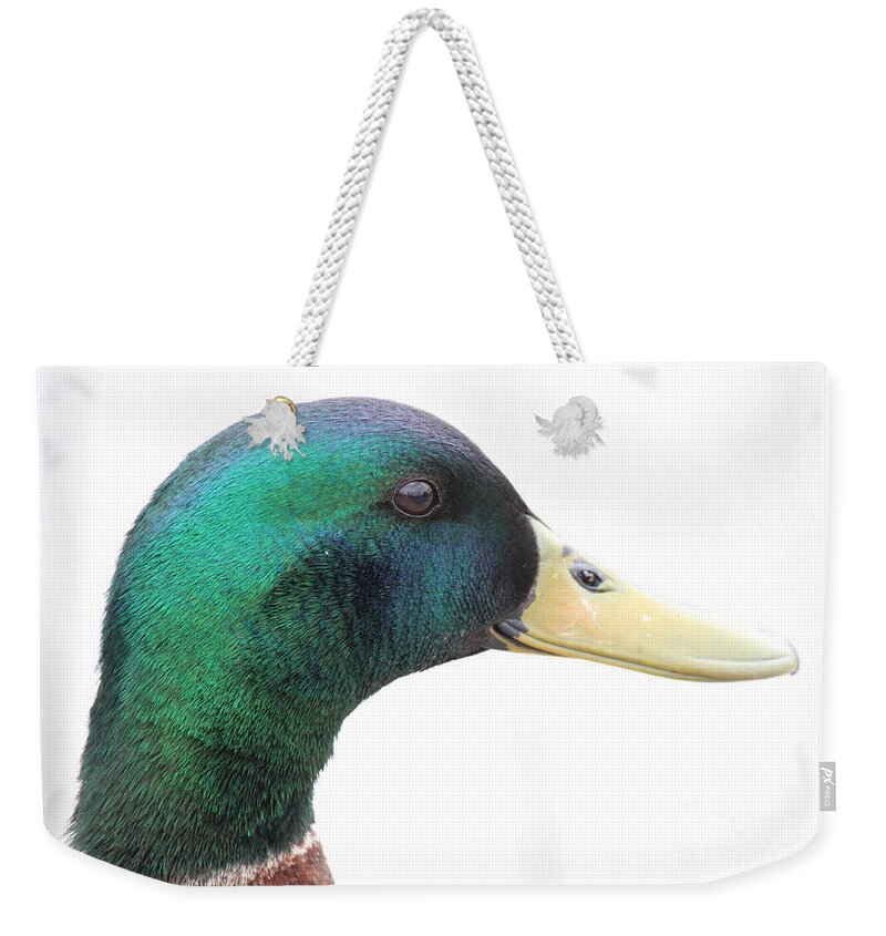 Duck Weekender Tote Bag featuring the photograph Majestic Mallard by Jennifer E Doll