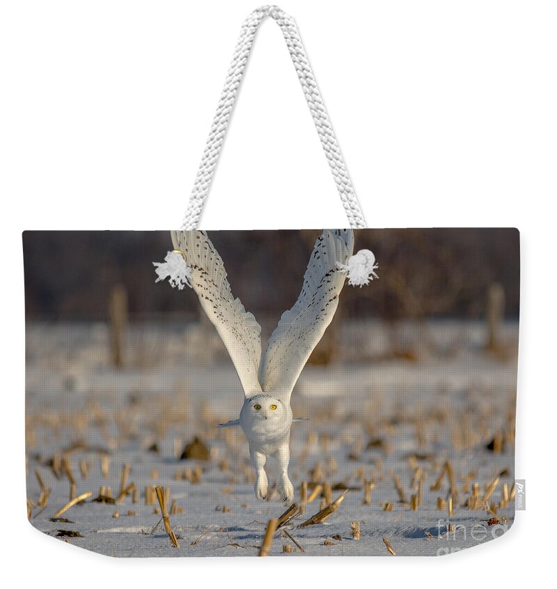 Field Weekender Tote Bag featuring the photograph Majestic Snowy by Cheryl Baxter