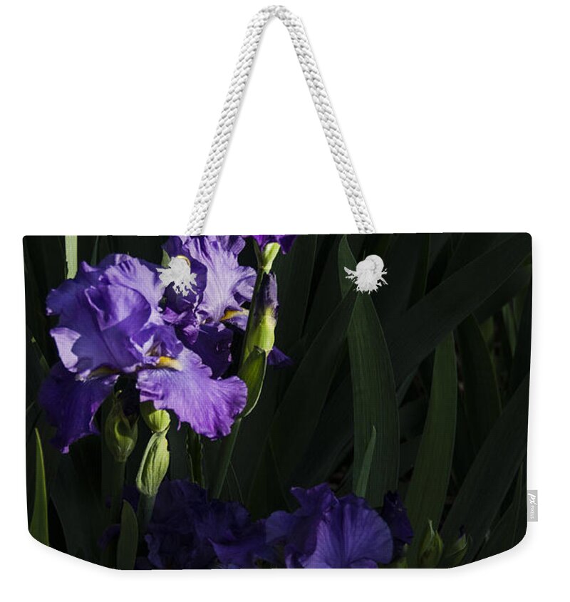 Flowers Weekender Tote Bag featuring the photograph Majestic Spotlight by Penny Lisowski