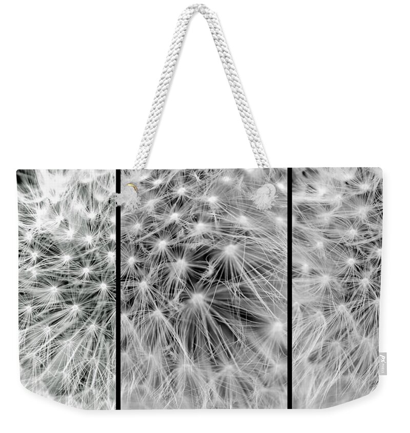 Dandelion Weekender Tote Bag featuring the photograph Make a Wish by Jackson Pearson