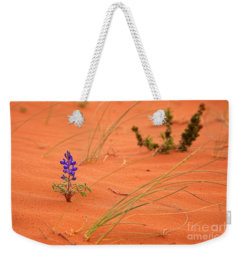 Utah Weekender Tote Bag featuring the photograph Make your own Kind of Music by Jim Garrison