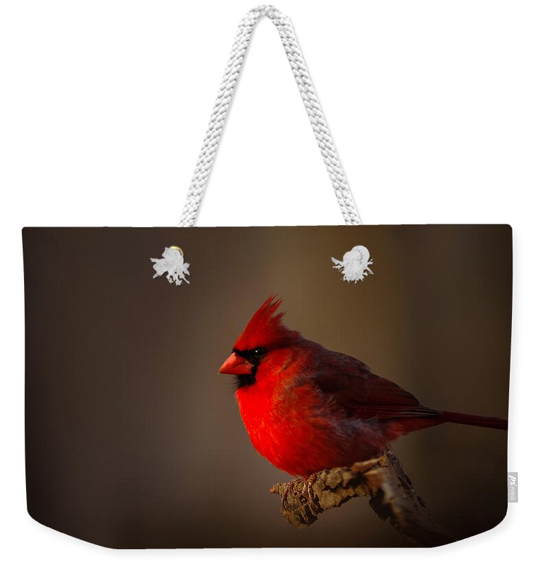 Male Cardinal Weekender Tote Bag featuring the photograph Male Cardinal subdued Forest Background by Randall Branham