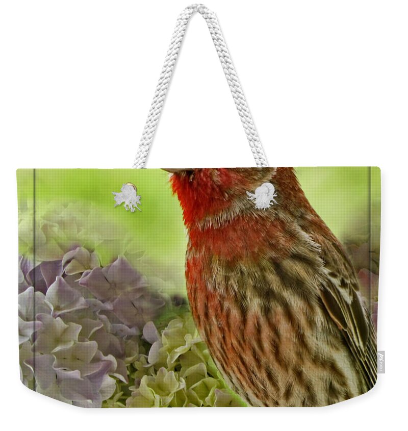 Nature Weekender Tote Bag featuring the photograph Male Finch in Hydrangesa by Debbie Portwood