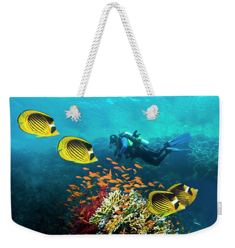 Raccoon Butterflyfish Weekender Tote Bag featuring the photograph Male Scuba Diver Over Coral Reef by Georgette Douwma
