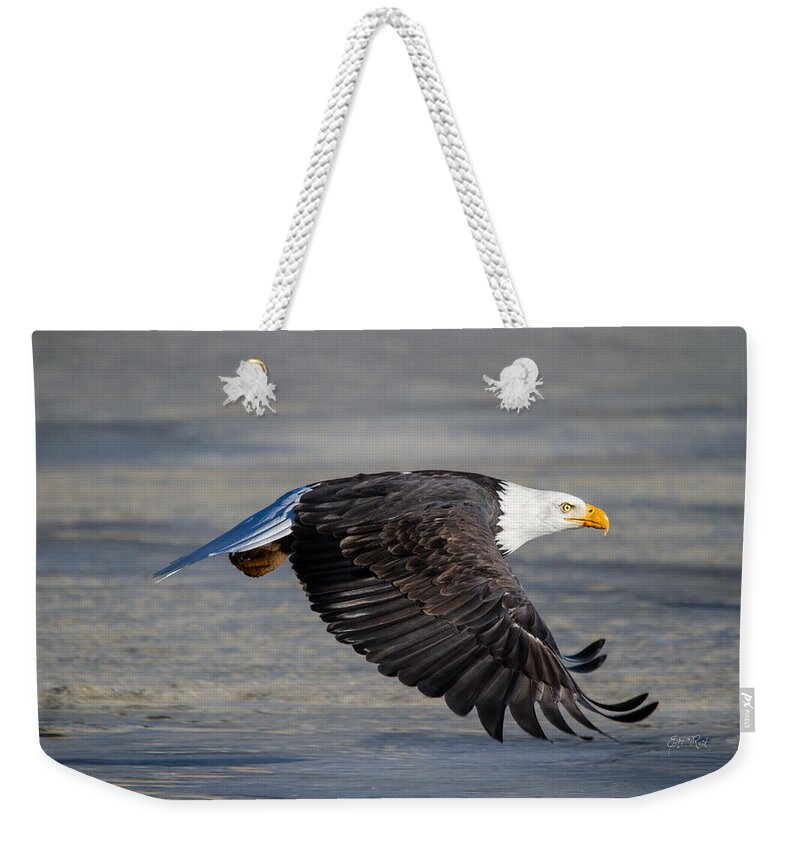 Bald.male Weekender Tote Bag featuring the photograph Male wild bald eagle ready to land by Eti Reid