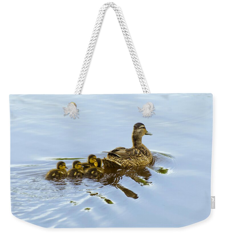 Birds Weekender Tote Bag featuring the photograph Mallard and Chicks by Flees Photos