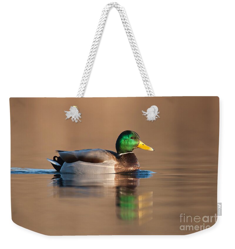 Clarence Holmes Weekender Tote Bag featuring the photograph Mallard by Clarence Holmes