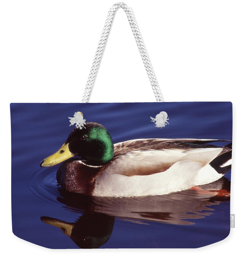 Duck Weekender Tote Bag featuring the photograph Mallard In The Mirror by Ginny Barklow