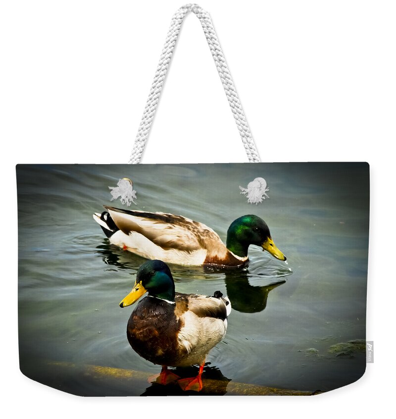 Avian Weekender Tote Bag featuring the photograph Mallards on Mendota by Christi Kraft