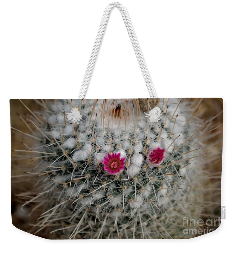 Growth Weekender Tote Bag featuring the photograph Mammillaria Geminispina by Scott Lyons