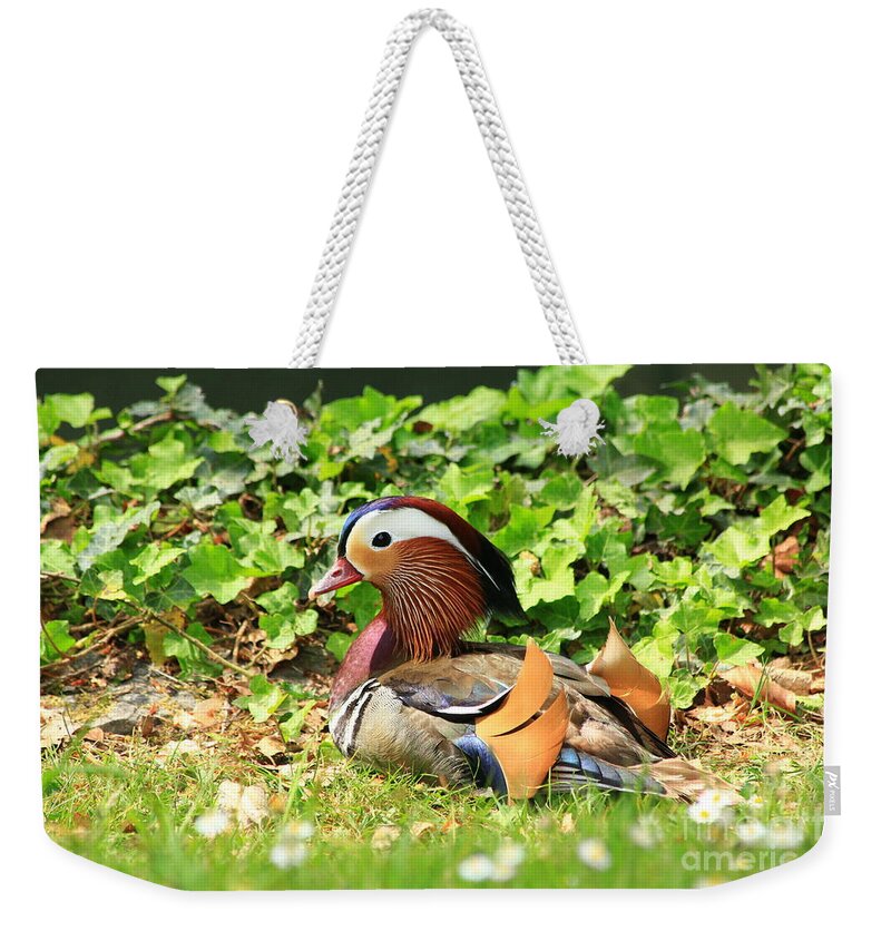 Animal Weekender Tote Bag featuring the photograph Mandarin Duck in the grass by Amanda Mohler