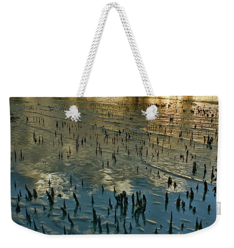2010 Weekender Tote Bag featuring the photograph Mangroves by Robert Charity